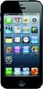 Apple iPhone 5 16GB - Павлово